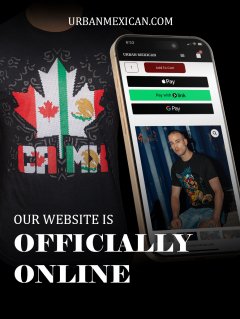 Website-launch